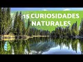 15 curiosidades de la naturaleza que te sorprendern