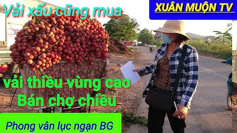 chợ vải thiều buổi chiều 20/6 chỉ có ở vùng cao ( phong vân - tân sơn) mới có bán vải buổi chiều