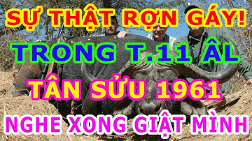 Tiên Báo Tháng 11 ÂL 3 Sự Thật Rợn Người Được Tiết Lộ  - Tân Sửu 1961 Chắc Chắn Có Chuyện Lớn Xảy Ra