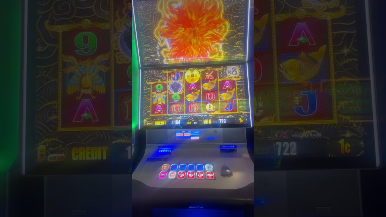 5 Dragons Bonus Video🐉🐦‍🔥🦚 