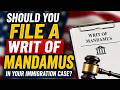 Should you File a Writ of Mandamus in your Immigration Case? - Explained!