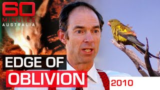 Charles Darwin's great-great-grandson's message for humanity | 60 Minutes Australia