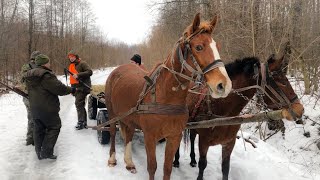 ОХОТА - Следами Секача