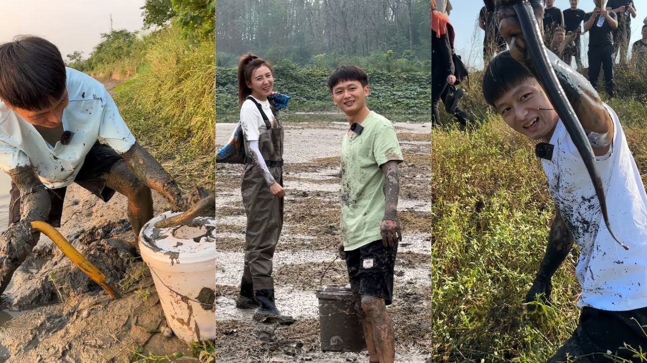 水猴子花700元包塘抓黄鳝，看到老板抓到那么大的鳝鱼，这谁不心痒痒啊不多说了搂他！