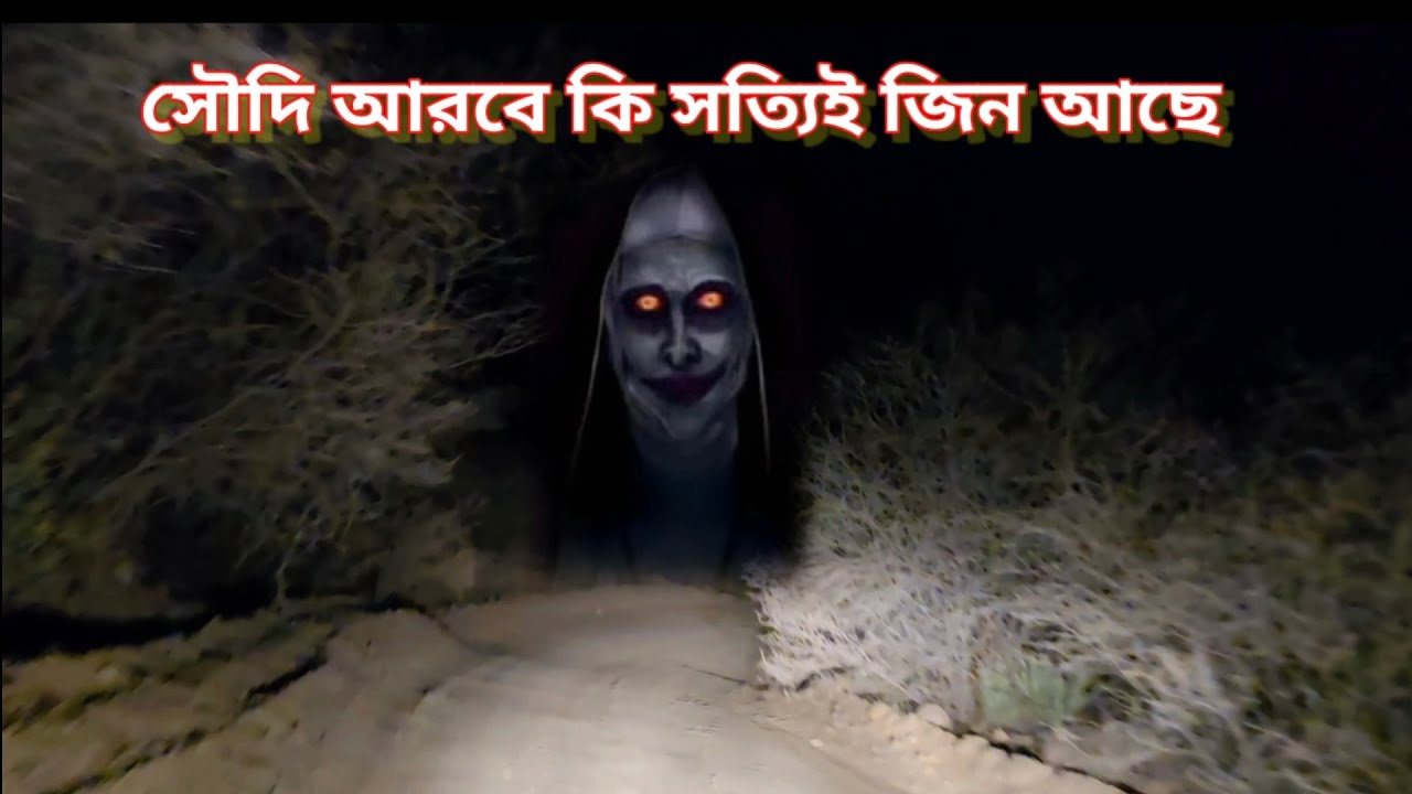 সৌদি আরবের ভয়ংকর রাস্তায় রাতের আঁধারে কি জীনের দেখা পাওয়া যায় | 20/2/2026 নিমরা আল কনফুদা সৌদি আরব |