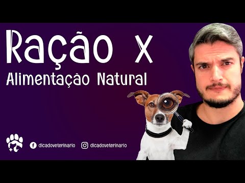 Vídeo: Alimento Para Cães De Qualidade Humana: é Melhor?