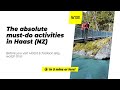 🗺️ The absolute must-do activities in Haast &amp; Jackson Bay NZ - NZPocketGuide.com