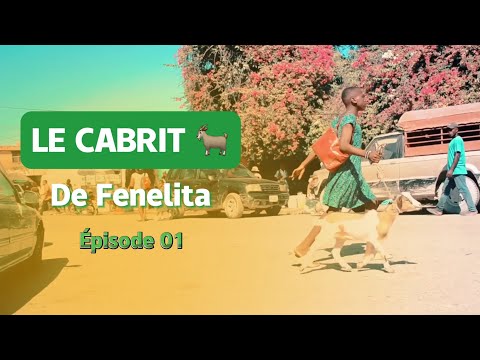 LE CABRIT DE FENELITA ÉPISODE 01