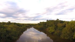 Conociendo los peces y redes tróficas del río Queguay