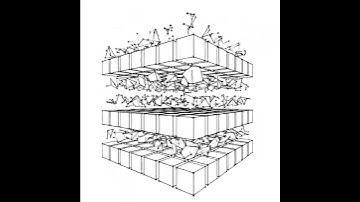 Stir squares. Draw by openframeworks