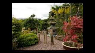 Идеи для дачи. Японский сад