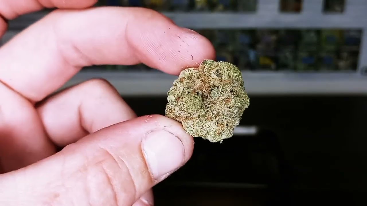 Red velvet vs Gorilla glue strain review