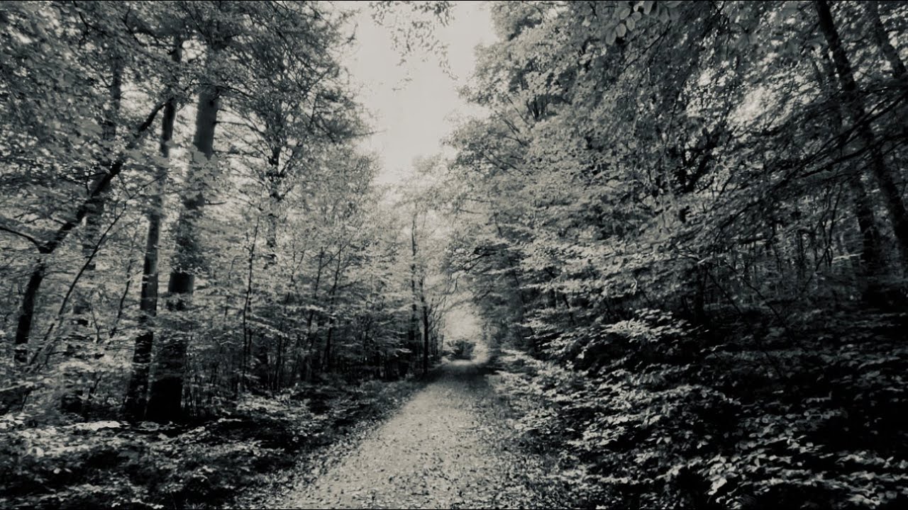 Nature Doesn’t Fear Aging - So Why Do We?