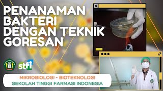 CULTIVATION OF BACTERIAL CULTURES USING THE SCRATCH TECHNIQUE | MICROBIOLOGY - PHARMACEUTICAL BIO...