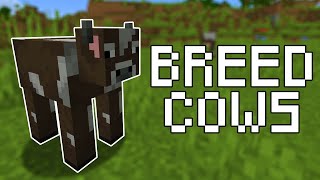 How to Breed Cows in Minecraft (All Versions)