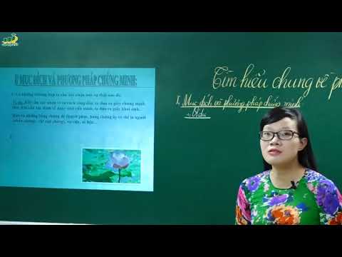 Video Ngữ Văn Lớp 7 - Tìm hiểu chung về phép lập luận chứng... - youtube