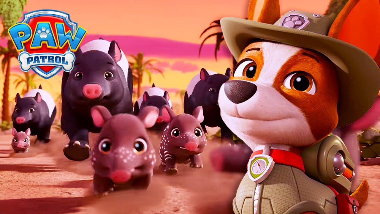 Tracker échappe à une ruée ! 🐘 | Valiente: Une histoire de Tracker | La Pat' Patrouille | PAW Patrol