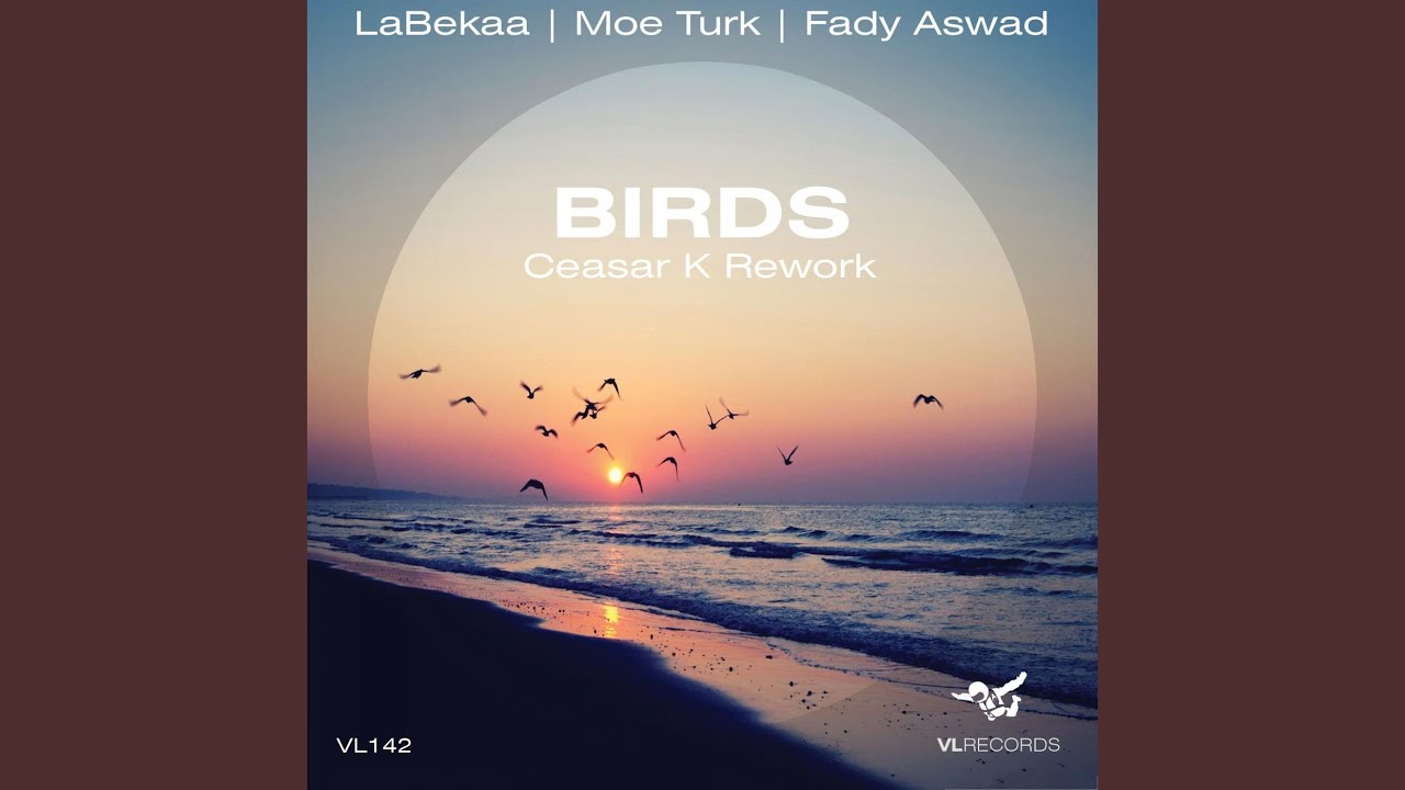 Watch Birds on YouTube Watch Birds on YouTube