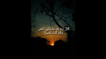 قَالَ رَبِّ لِمَ حَشَرْتَنِي أَعْمَى - القارئ اسلام صبحي
