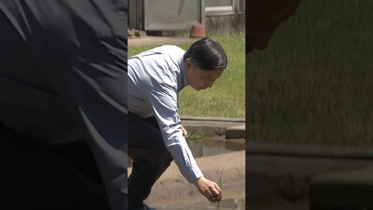 【天皇陛下が田植え】毎年恒例　皇居内の水田で苗を1株ずつ丁寧に植えられる｜TBS NEWS DIG #shorts