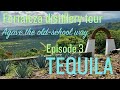 TEQUILA, JALISCO 2021  |  Touring the legendary Fortaleza distillery  |  tons of cantaritos | MEXICO