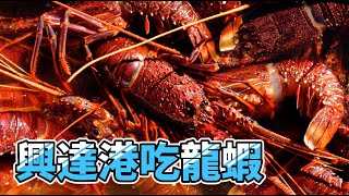 興達港吃海鮮吃飽吃滿 / 高雄觀光漁市／三點蟹／花蟹／龍蝦