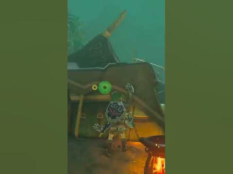 How to farm arrows in Zelda botw #zelda #thelegendofzelda #botw #