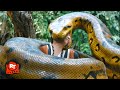 Anaconda Cursed Jungle 2024 SNAKE CRUSHES MAN TO DEATH 8 11 Movieclips 
