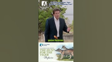 Is the Tasmanian Tiger truly extinct? Discover the mystery behind its disappearance!