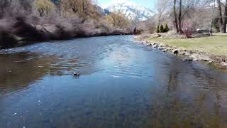 Ride the river at Provo River RV Park by The Swan Story 74 views 9 days ago 13 seconds