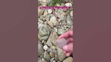 Hành trình tìm đá quý tại bái tại lò an Phú lục yên yên bái, tưởng không may may không tưởng