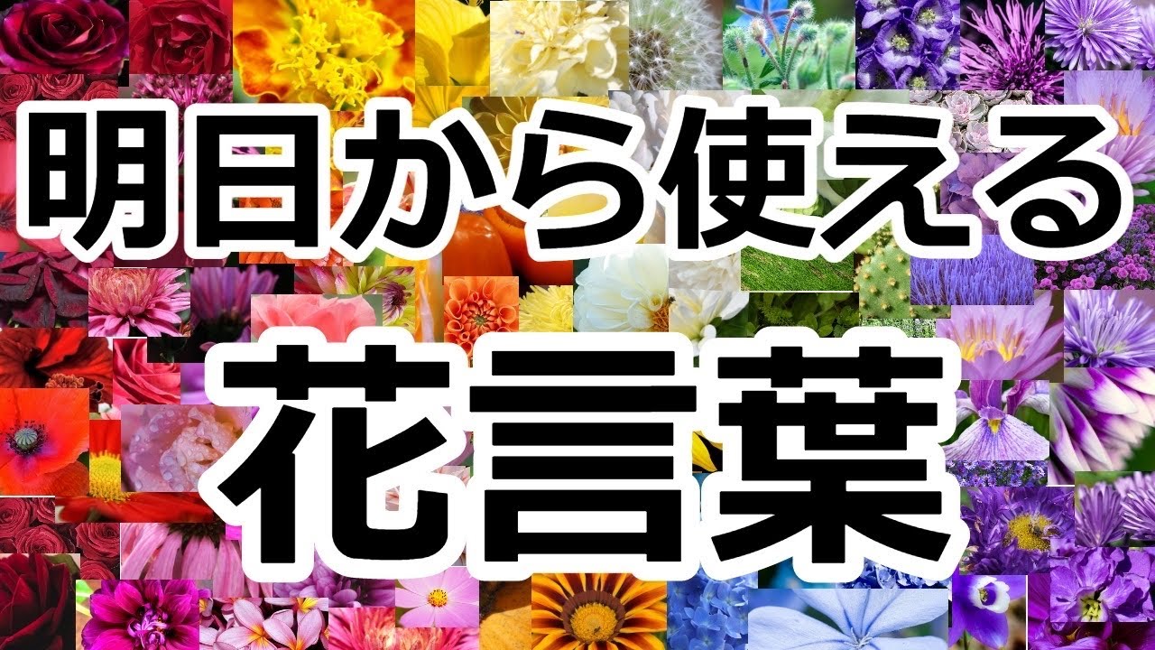 【生物】明日から使える 花言葉
