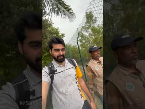 Sundarban Tour PART
