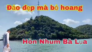 P89: Đảo Hòn Nhum Tròn bỏ hoang, ban đêm dân kéo tới bắt toàn ốc quý hiếm (Khám phá 1.000 đảo VN)