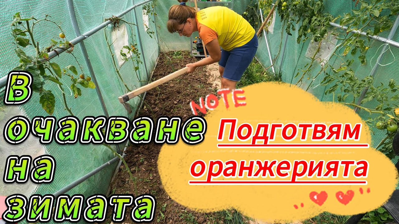 Есенно засаждане в оранжерията.