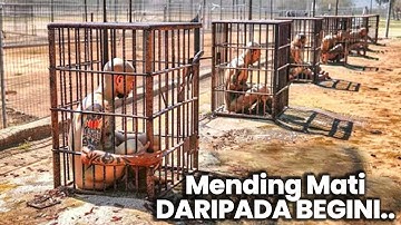 Narapidana Disini Mengaku Lebih Baik Mati Daripada Masuk Penjara Itu Lagi..