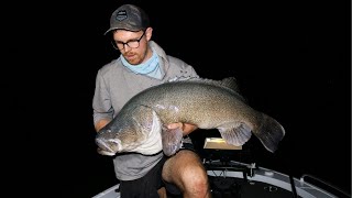 My BIGGEST Murray Cod of the year!