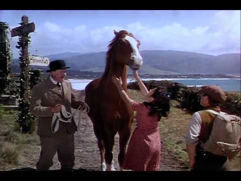 National Velvet