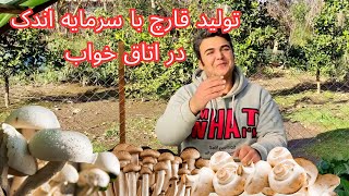 کاشتن قارچ ؛در خانه و از سرمایه ای کم  شروع کنید 🍄/سود این کار تضمین شده است screenshot 1