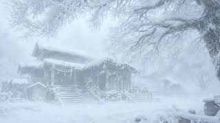 Winter Snowstorm & Howling Wind Sounds | Deep Sleep, Relaxation & Peace | Blowing Snow Ambience screenshot 5