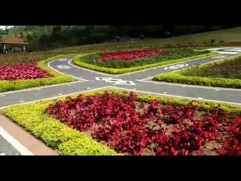 Travelingyukcom Mulai Jenuh Refreshing Ke Jember Ala