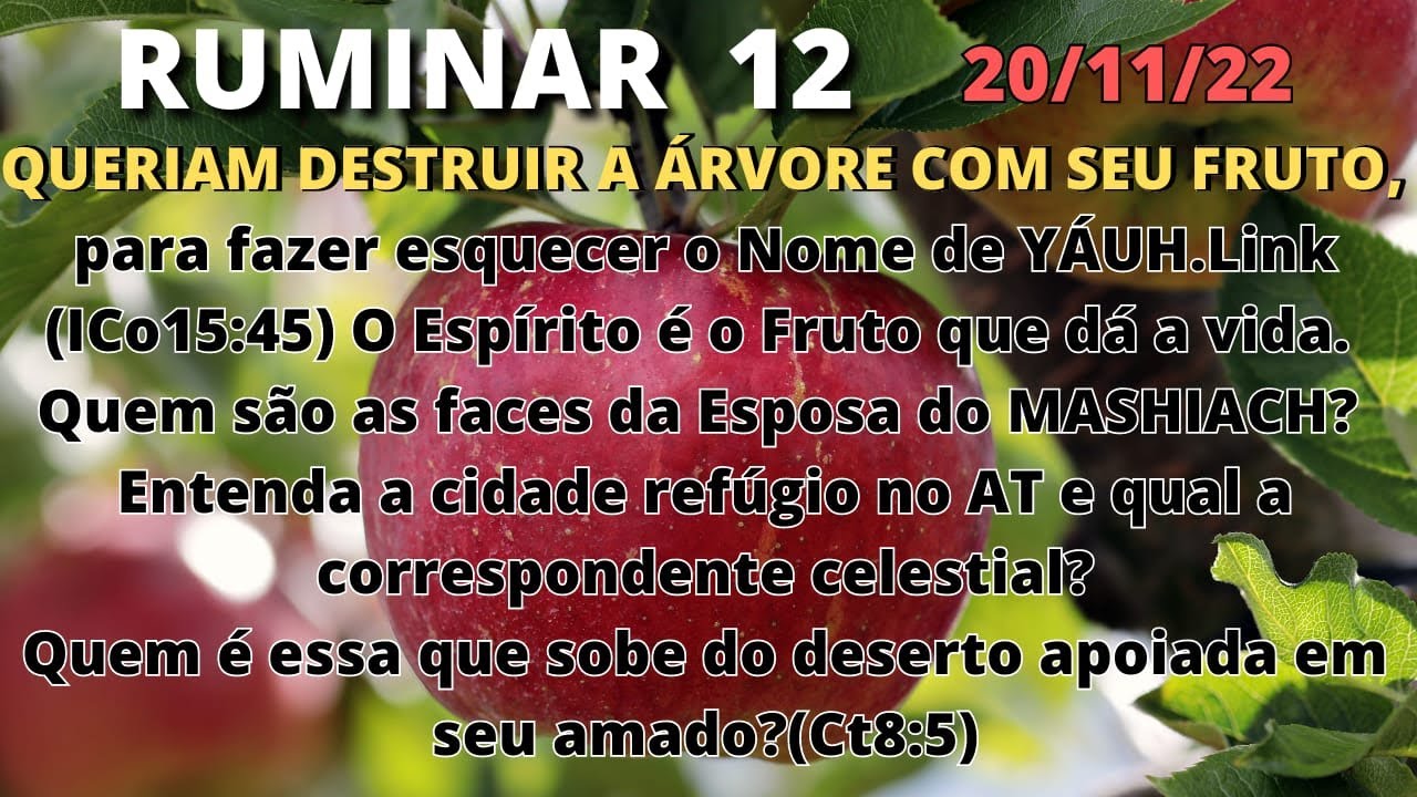O Que Significa Ruminar Na Bíblia - RETOEDU