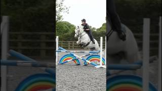 This jump 🤩💖 || Video credits - @elphick.event.ponies #shorts #horse #ponies