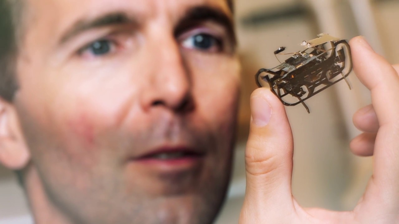 Max-Planck-Humboldt-Medaille 2018: Robotik-Experte Robert Wood