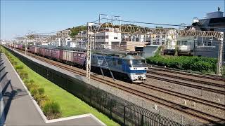 5075レ EF210-169+コキ20両/5052レ EF210-329+コキ23両 戸塚付近通過