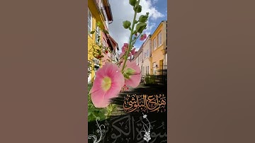 سورة الكوثر / @HazzaAlblushi