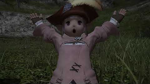 An Unexpected Ambition - Final Fantasy XIV