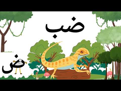 تعليم الحروف الهجائية العربية للأطفال حرف الضاد ض     