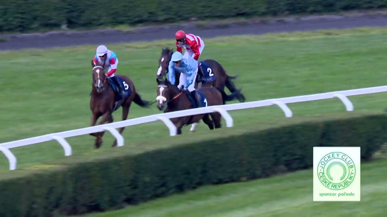 Dostihy Chuchle Arena Praha 23. 6. 2024 - 6. dostih - Prima CNN Zl. pohár - Memoriál Filipa Minaříka