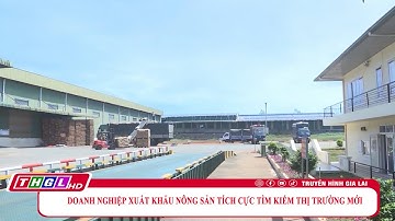 Doanh nghiệp xuất khẩu nông sản tích cực tìm kiếm thị trường mới